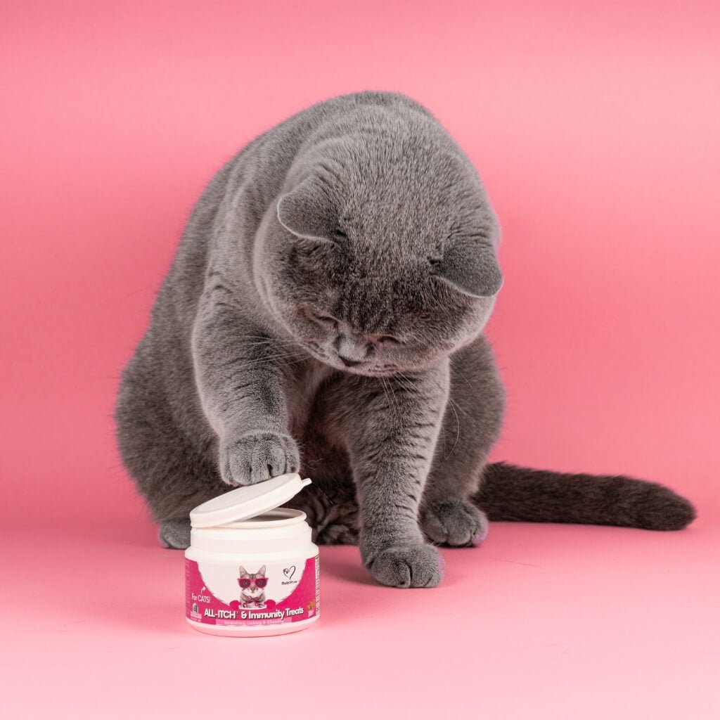 Masticabili Antiprurito per Gatti