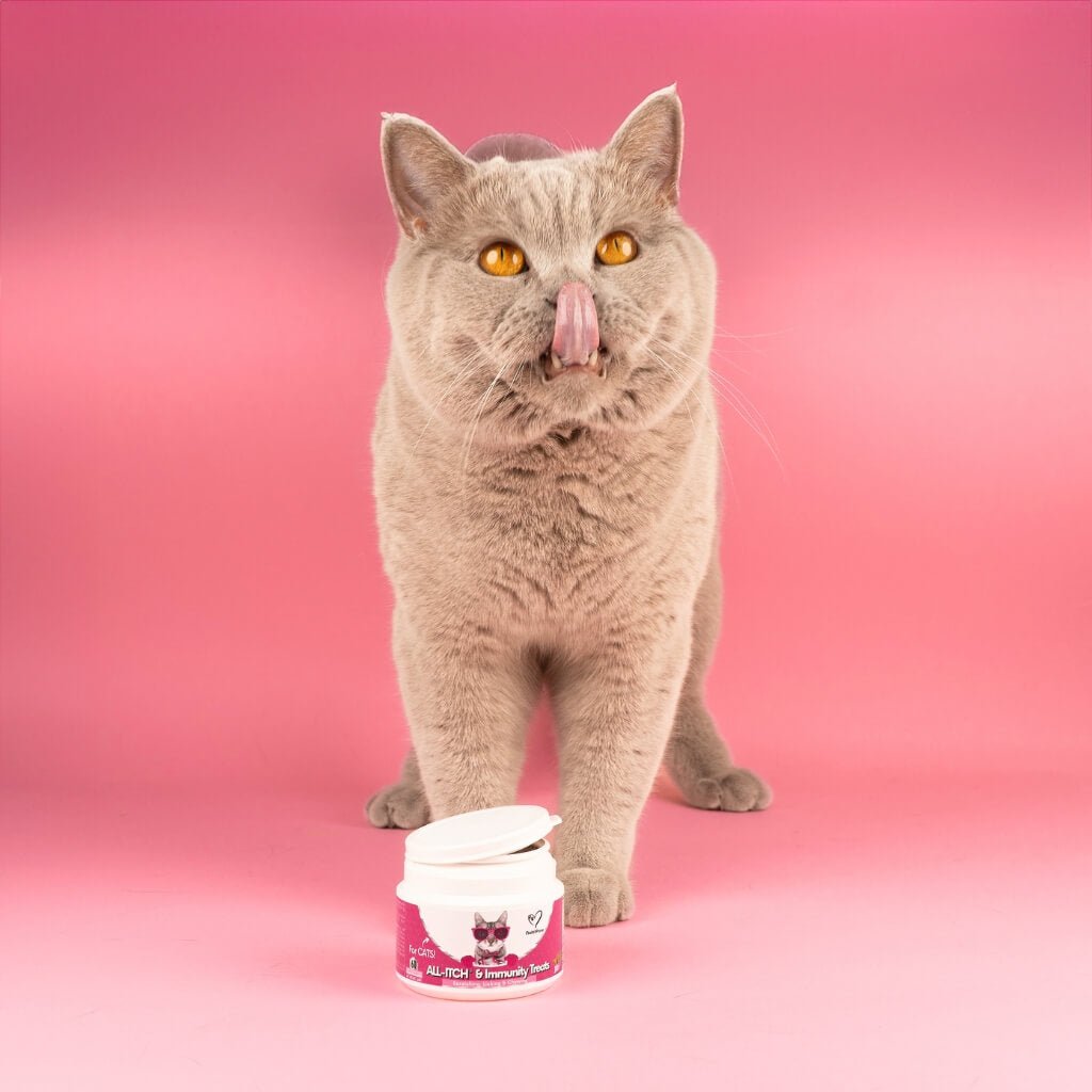 Masticabili Antiprurito per Gatti