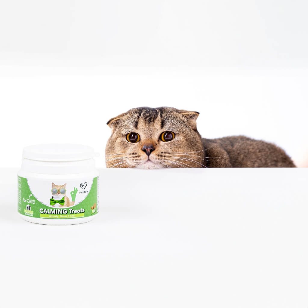 Masticabile Calmante per Gatti