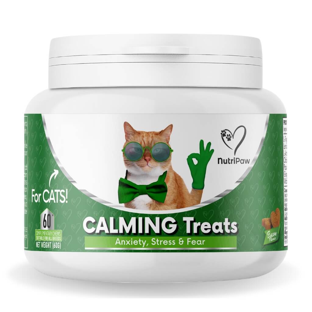 Masticabile Calmante per Gatti