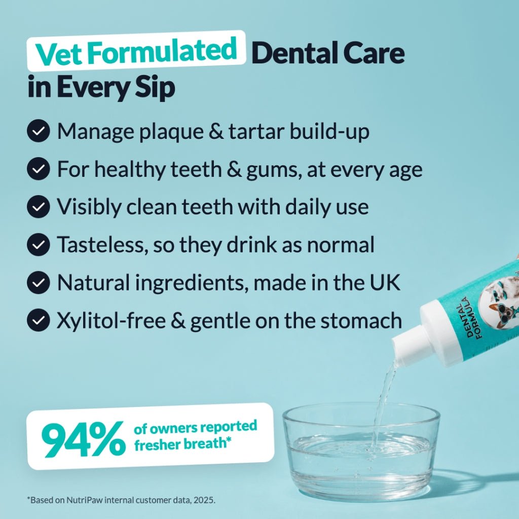 Additivo per l'Acqua Formula Dentale