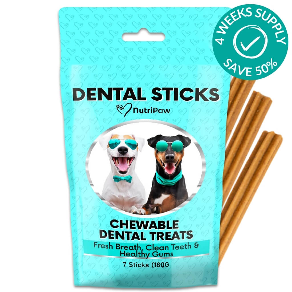 Stick Dentali