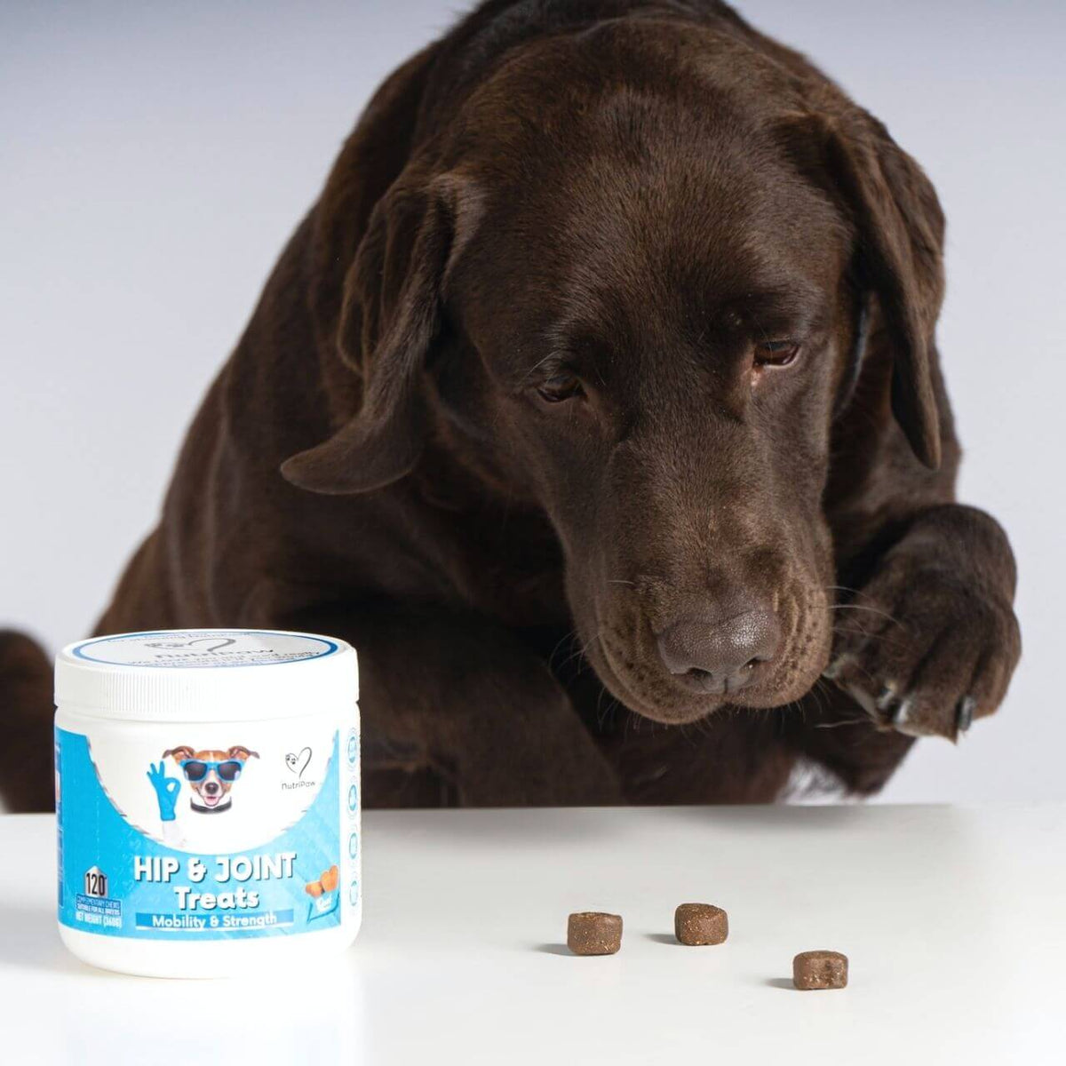 Snack per Anche e Articolazioni