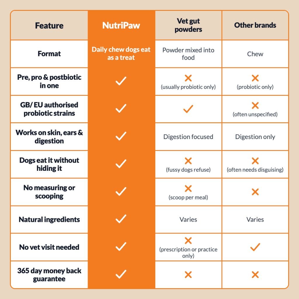 Snack Digestivi Pre, Pro e Postbiotici