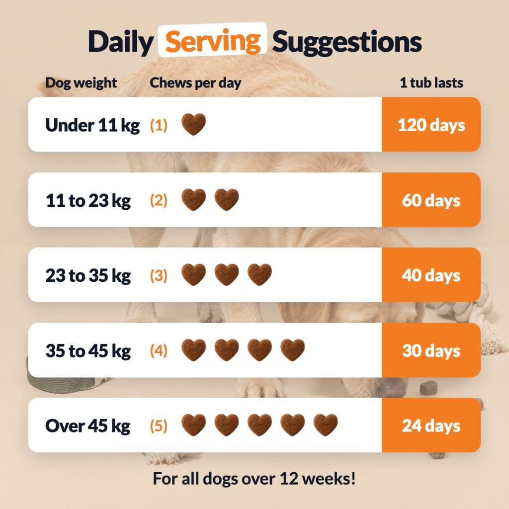 Snack Digestivi Pre, Pro e Postbiotici