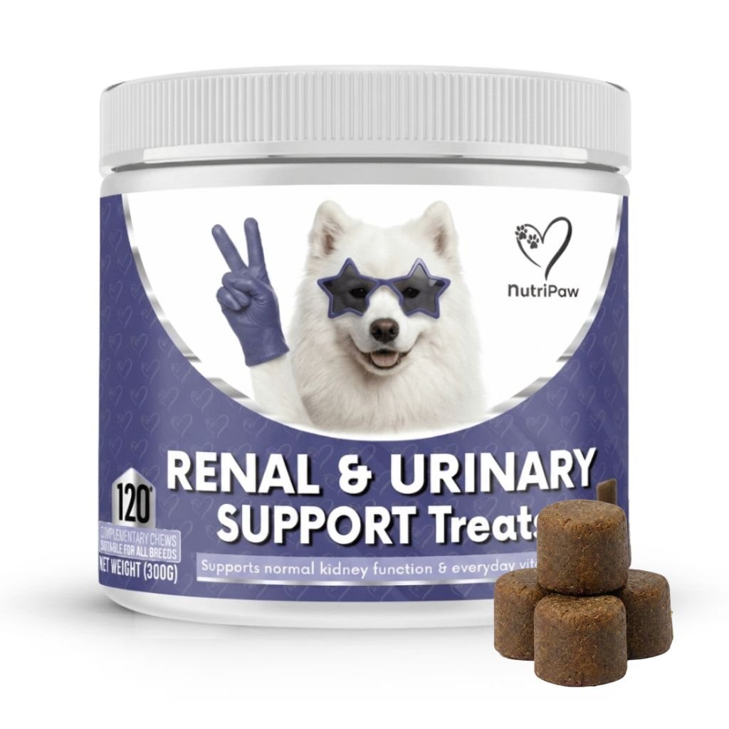 Snack per Reni e Vie Urinarie