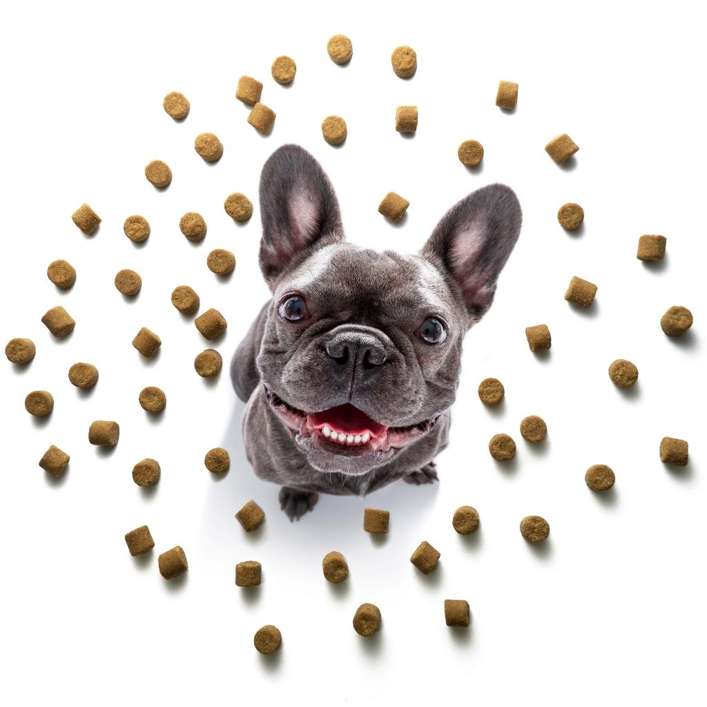Snack per Pelle e Pelo