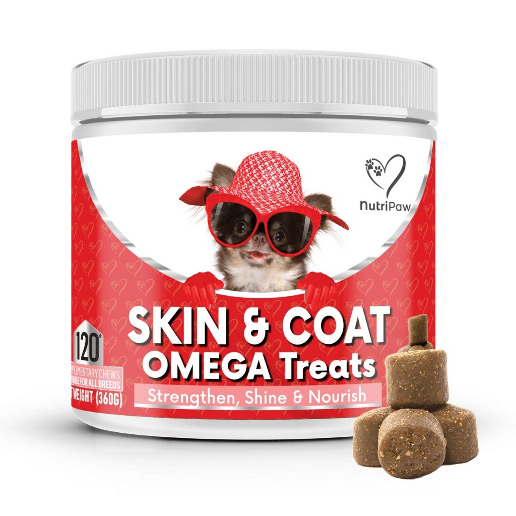Snack per Pelle e Pelo